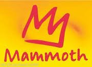Mammoth Mountain Big Mountain Team