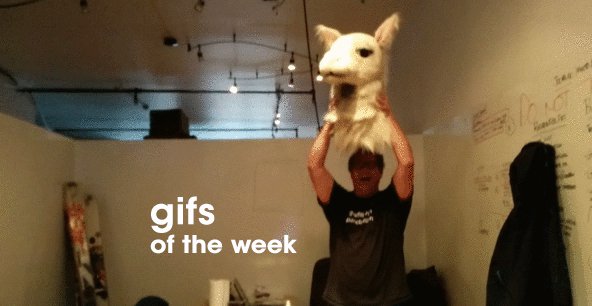 Gifs of the Week