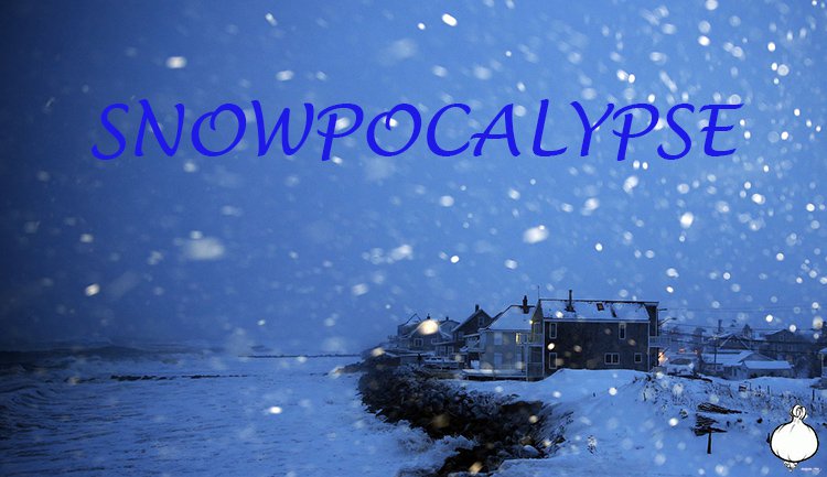 Snowpocalypse: Boston Avalanches