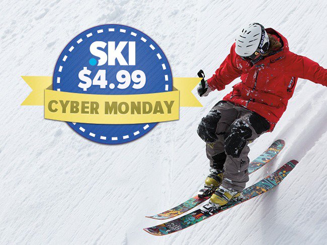 $4.99 Cyber Monday .SKI Domains