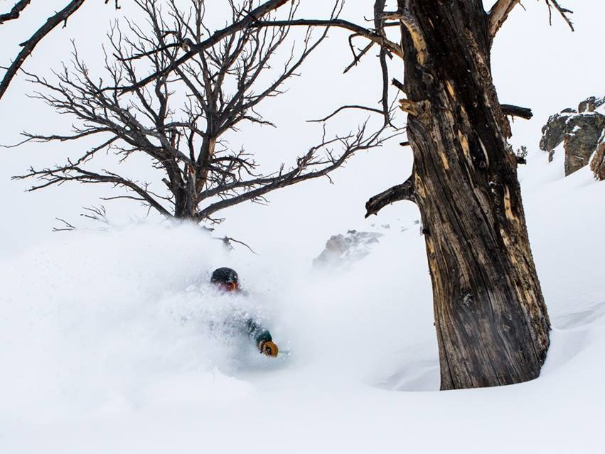 POWDER ALERT: TETONS