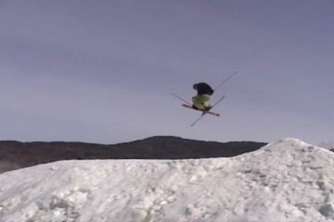 Mute at Smugglers Notch, VT. (Taken from a video)