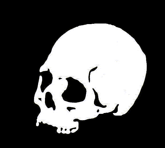 This is a rad skull stencil I drew. Put it everywhere.