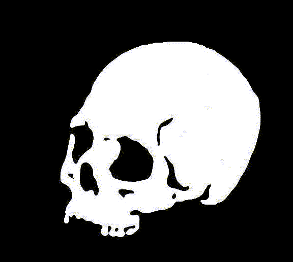 a sick skull stencil I made. Put it everywhere