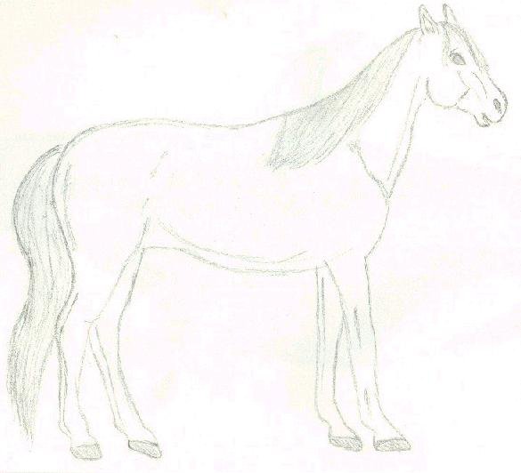 Old sketch of a horse