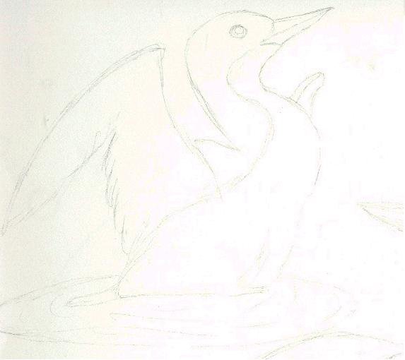 Old sketch of some loons at a lake a few miles north