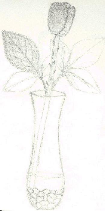 Old unfinished sketch of a rose