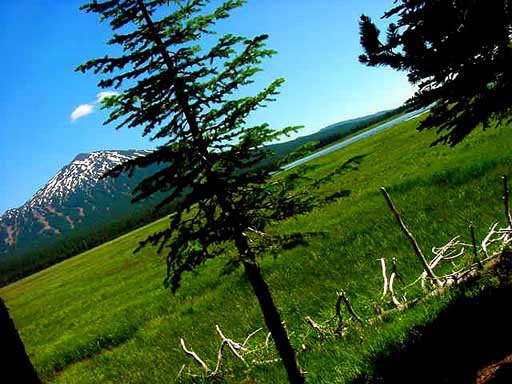 Mt. Bachelor - sweet meadow shot