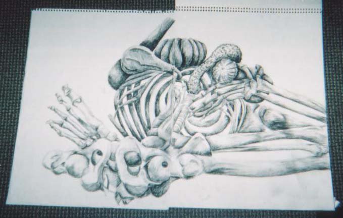 Skeleton and gourds