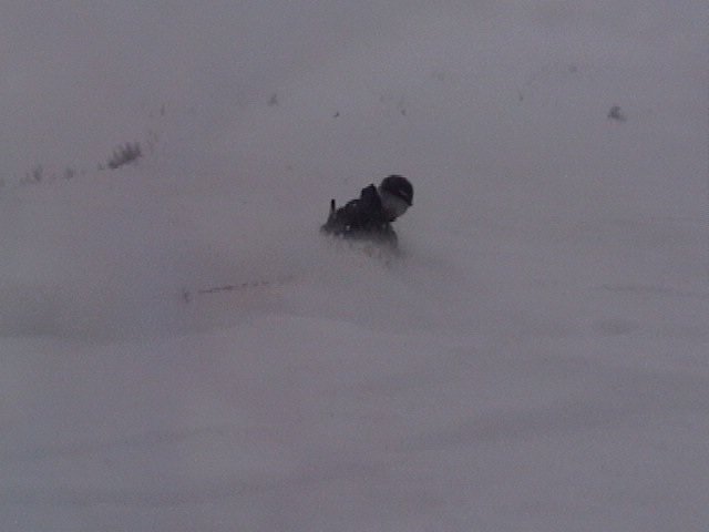 Waist Deep In Pow