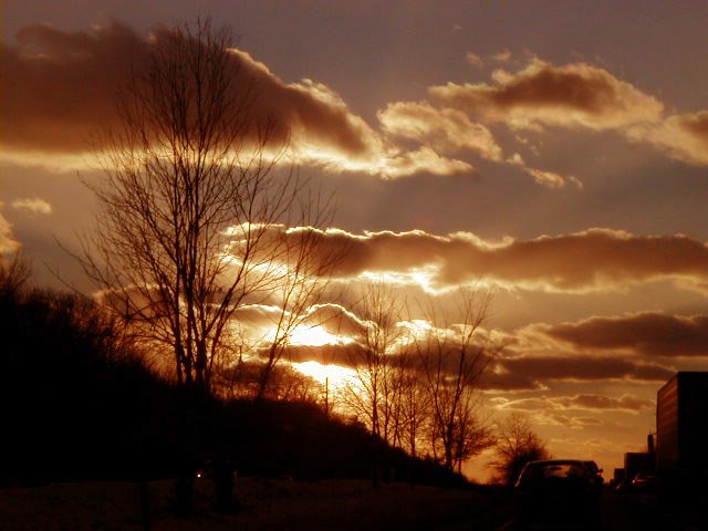 Sunset behind tree