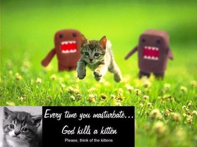 Killing Kittens