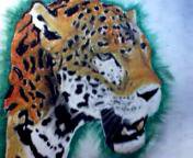 Jaguar - Oil Pastels