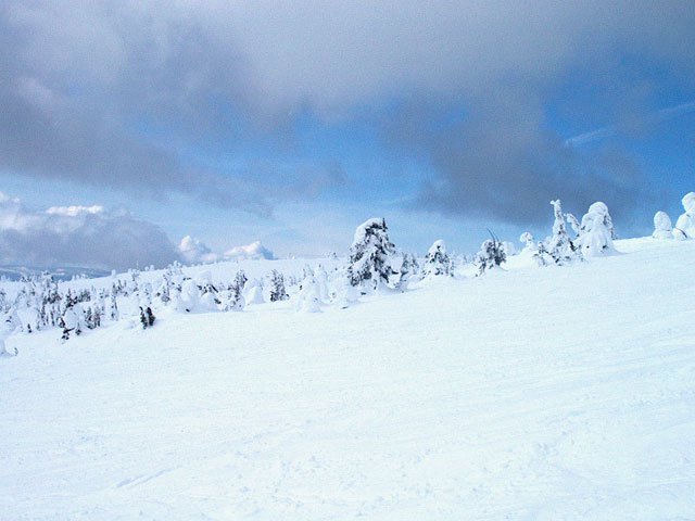 Powder Ghosts, After The Dump