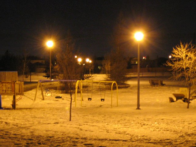 long shutter of park at night