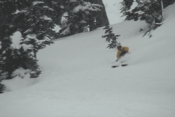 ape rippin alpental