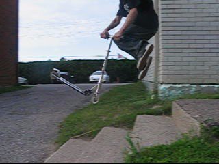 tailwhip