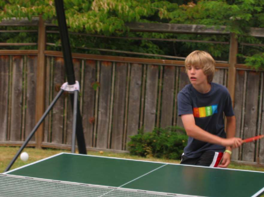 Ping Pong Taylor