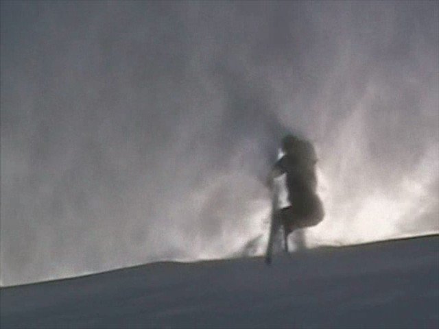 tail of cornis with snow blowing over