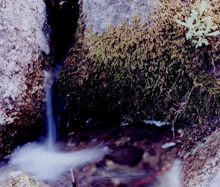 Little waterfall