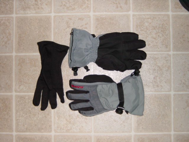 Dakine Gloves