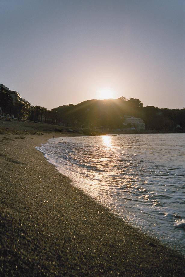 Sunrise at the Beach