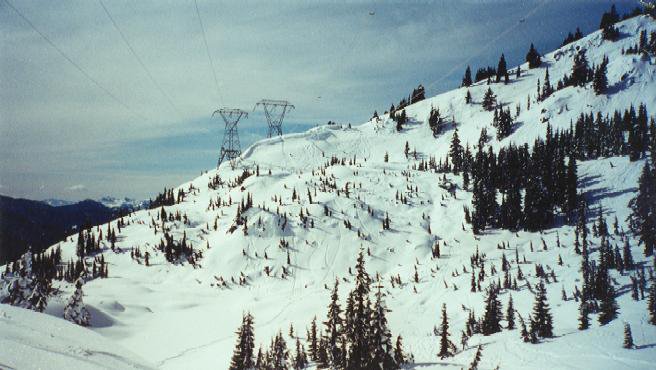 Back Bowl Playground