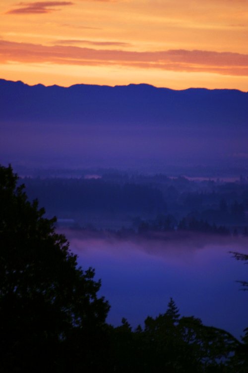 foggy sunrise