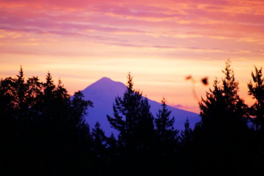 mt. hood sunrise