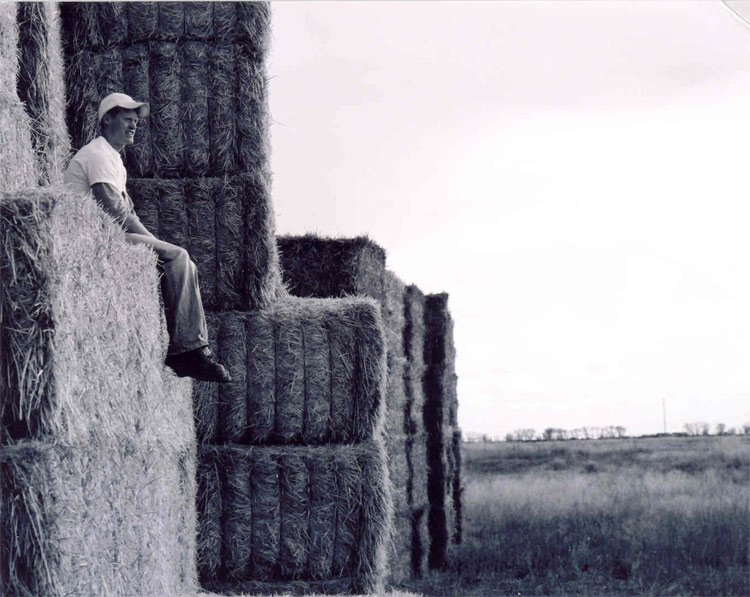 Hey, you're sitting on hay