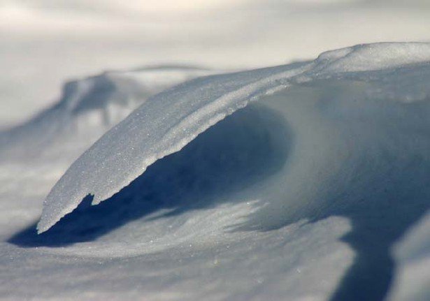 snow surfing