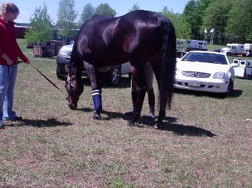 my horse OBIE TRICE my sis holding shank..u can see my boots!