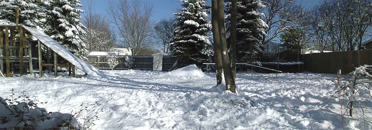 Backyard Ramp w/snow