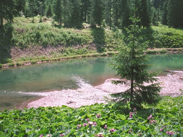 hella belle riviÃ¨re, my back yard