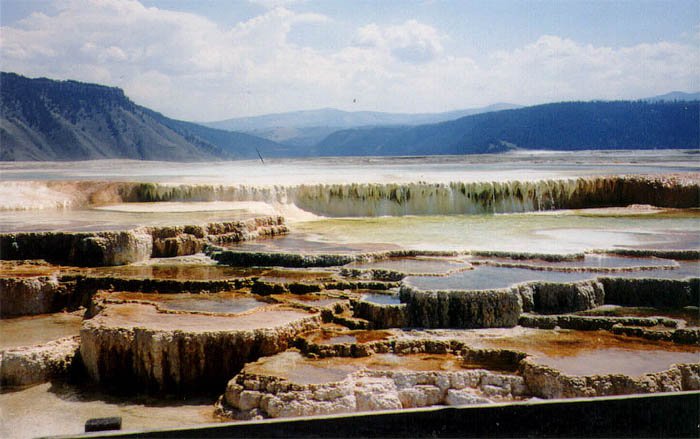 Mammoth Springs