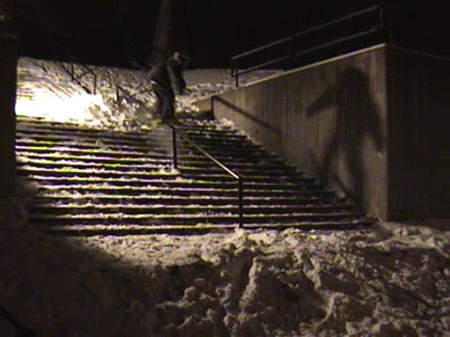 20 step rail