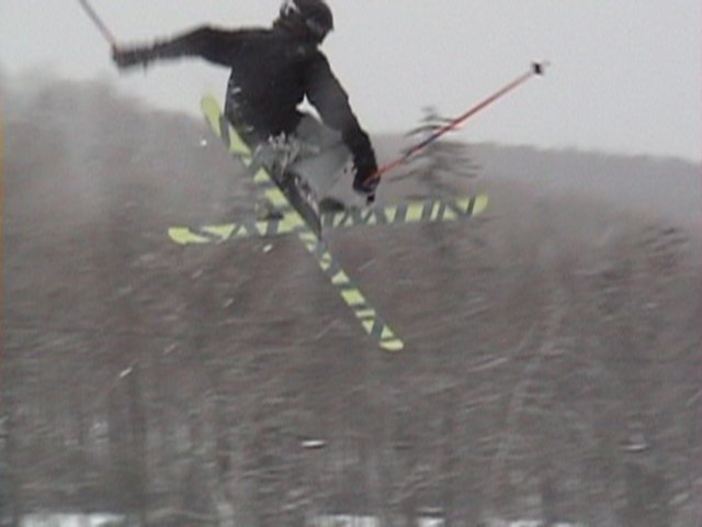 mute in east coast backcountry