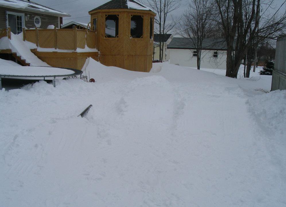 My backyard set up