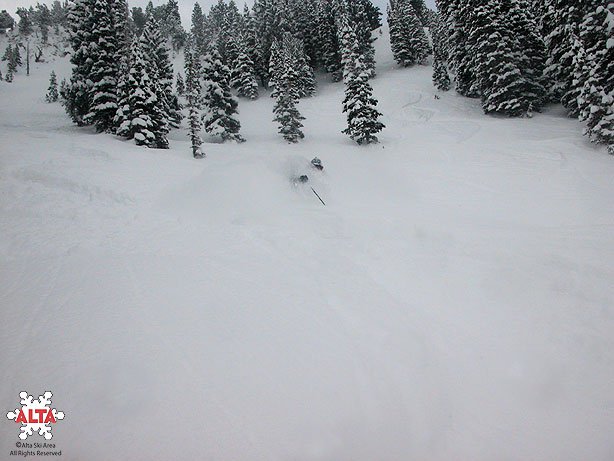 some looks at the 5% powder we have been skiing