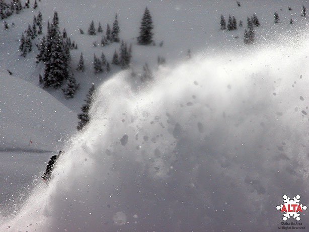 more awesome powder at alta