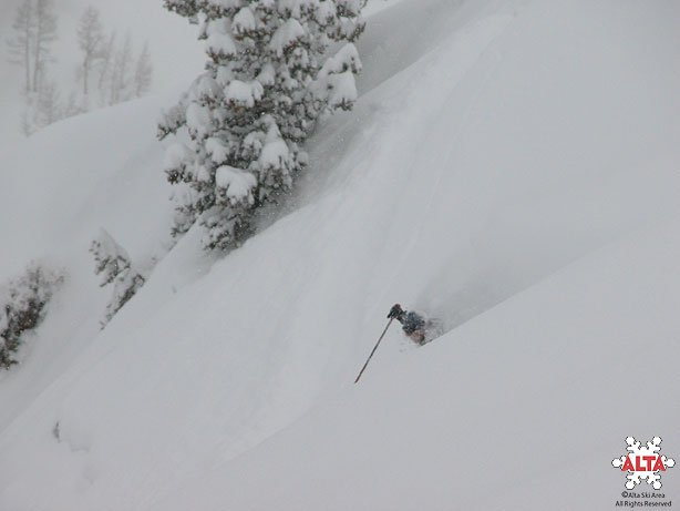 one more powder shot