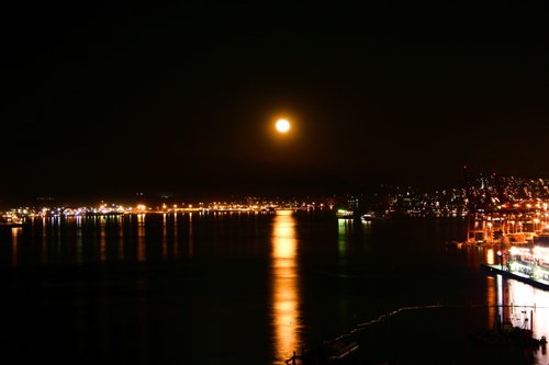 Night Moon Harbour