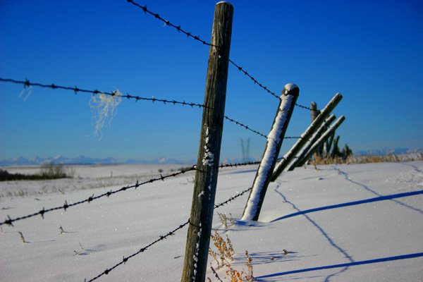 fenceline