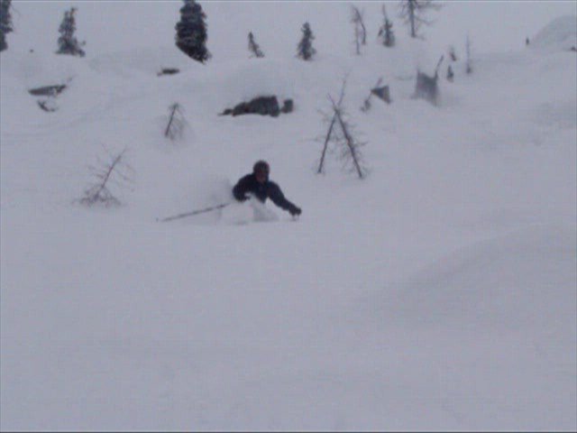 powder