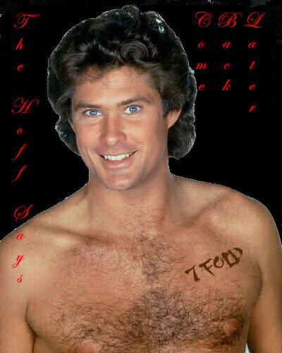 the hoff