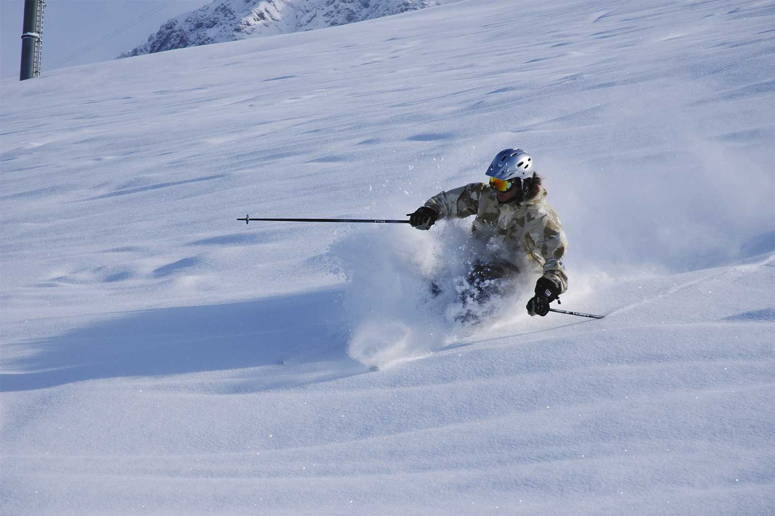 Such a sweet run. 40 cm of fresh pow.