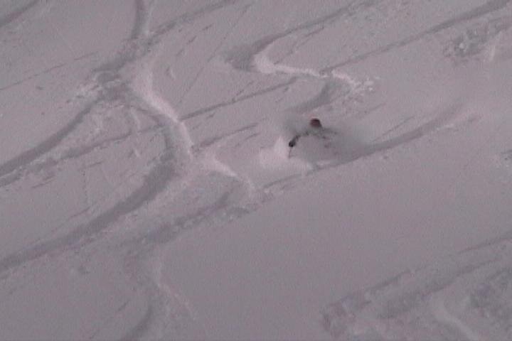 newman, shreddin the alta pow