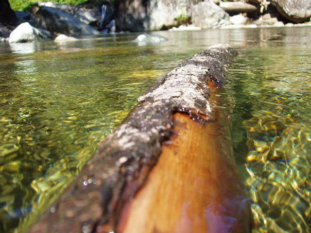 river log