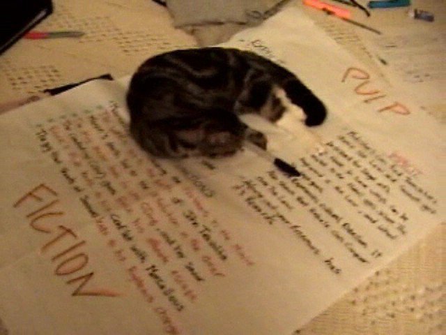 My cat does my homework!