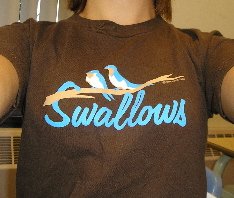 Swallows...my shirt that is...